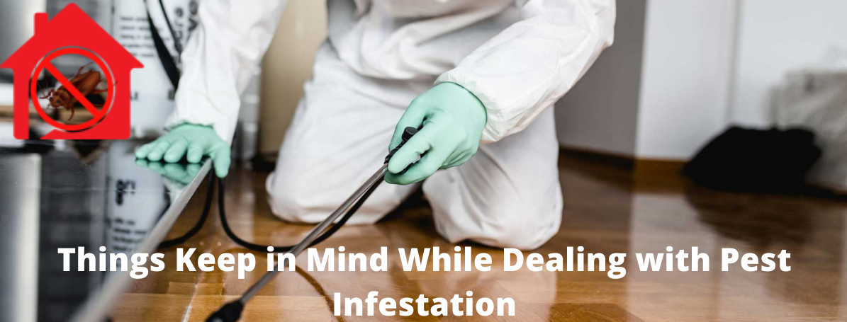 pest infestation, pest problems, pest control company 